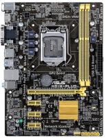 Photos - Motherboard Asus H81M-PLUS 