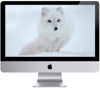 Photos - Desktop PC Apple iMac 21.5" 2013 (Z0PE0003K)