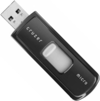 Photos - USB Flash Drive SanDisk Cruzer Micro U3 2 GB