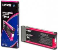 Photos - Ink & Toner Cartridge Epson T5443 C13T544300 