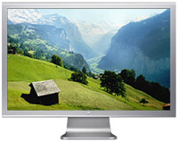 Photos - Monitor Apple Cinema HD Display 23" 23 "  silver