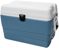 Photos - Cooler Bag Igloo MaxCold 50 