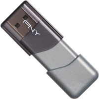 Photos - USB Flash Drive PNY Turbo 3.0 256 GB