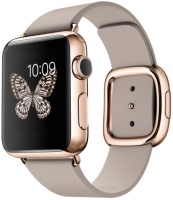 Photos - Smartwatches Apple Watch 1 Edition  42 mm