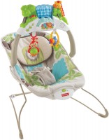 Photos - Baby Swing / Chair Bouncer Fisher Price Y8641 