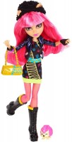 Photos - Doll Monster High 13 Wishes Howleen Wolf Y7710 