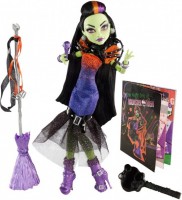 Photos - Doll Monster High Casta Fierce CFV34 