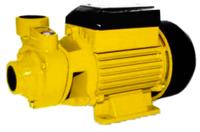 Photos - Surface Pump MAXIMA QB 60 
