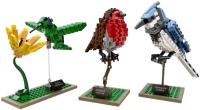 Photos - Construction Toy Lego Birds 21301 