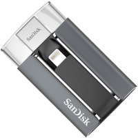 Photos - USB Flash Drive SanDisk iXpand 128 GB