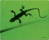 Photos - Mouse Pad Speed-Link Gecko 