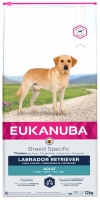 Photos - Dog Food Eukanuba Breed Specific Adult Labrador Retriever 