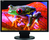 Photos - Monitor NEC EA221WM 22 "  black