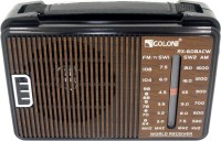 Photos - Radio / Clock Golon RX-608ACW 