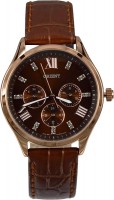 Photos - Wrist Watch Orient SW05001T 