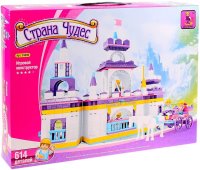 Photos - Construction Toy Ausini Fairyland 24806 