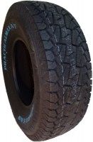 Photos - Tyre HABILEAD RS23 255/65 R17 110T 