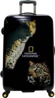 Photos - Luggage National Geographic BIG CATS Leopard  80