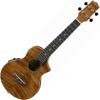 Acoustic Guitar Ibanez UEW15E 