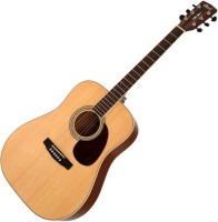 Photos - Acoustic Guitar Cort Earth 100 