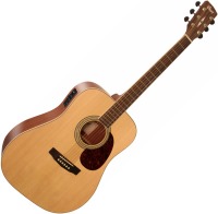 Photos - Acoustic Guitar Cort Earth 100F 