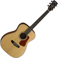 Photos - Acoustic Guitar Cort L100C 