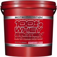 Protein Scitec Nutrition 100% Whey Protein Professional 5 kg
