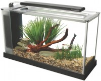 Photos - Aquarium HAGEN Fluval Spec 19 L