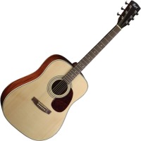 Photos - Acoustic Guitar Cort Earth Pack 