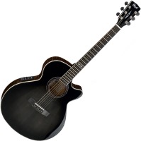 Acoustic Guitar Cort SFX10 