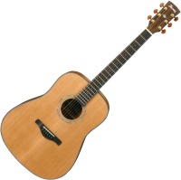 Photos - Acoustic Guitar Ibanez AW3050 