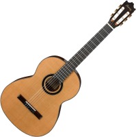 Photos - Acoustic Guitar Ibanez GA15 