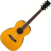Photos - Acoustic Guitar Ibanez PN15 