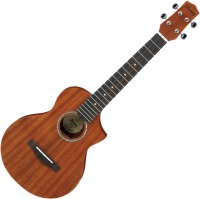 Acoustic Guitar Ibanez UEWT5 
