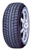 Photos - Tyre Michelin Primacy Alpin PA3 205/55 R16 91H 