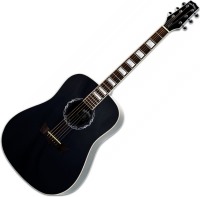 Photos - Acoustic Guitar Peavey Jack Daniel's JD-AG1 