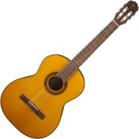 Photos - Acoustic Guitar Takamine GC1 