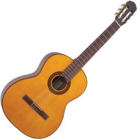 Photos - Acoustic Guitar Takamine G124 