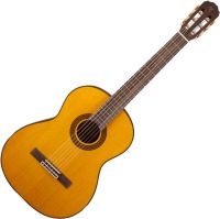 Acoustic Guitar Takamine GC5 