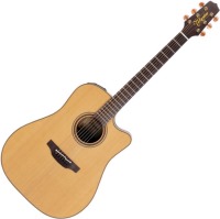 Acoustic Guitar Takamine P3DC 