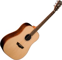 Photos - Acoustic Guitar Washburn WD250SW 