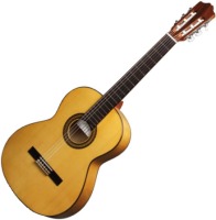 Photos - Acoustic Guitar Cuenca 30F 