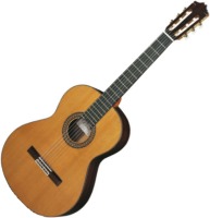 Photos - Acoustic Guitar Cuenca 50R Standard 