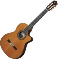 Photos - Acoustic Guitar Cuenca 50RCW E2 