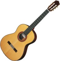 Photos - Acoustic Guitar Cuenca 70R 