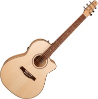 Photos - Acoustic Guitar Seagull Performer CW Folk QIT 