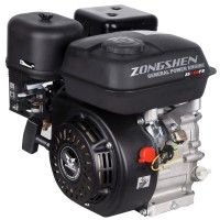 Photos - Engine Zongshen ZS 168 FB 