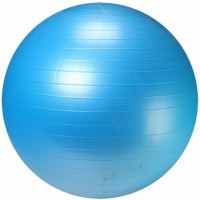 Photos - Exercise Ball / Medicine Ball LiveUp LS3222-55B 