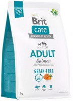 Photos - Dog Food Brit Care Grain-Free Adult Salmon/Potato 