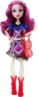 Photos - Doll Monster High First Day of School Ari Huntington DPL86 